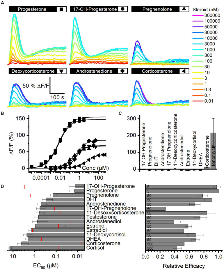 FIGURE 2