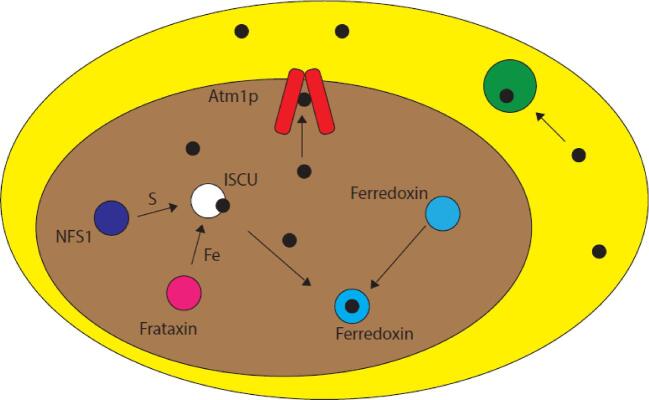 Fig. 4