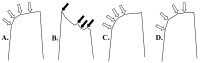 Figure 8