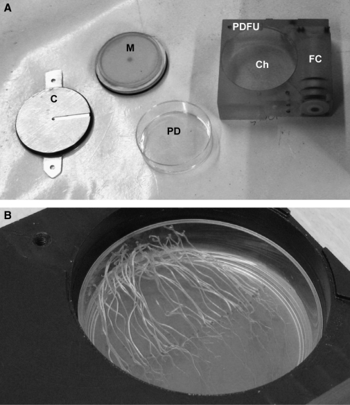 FIG. 1.