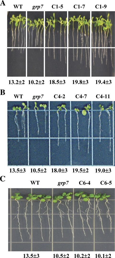 Fig. 4.