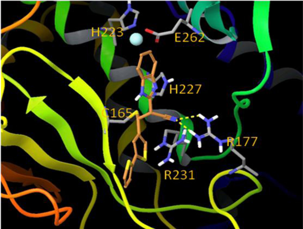 Figure 10