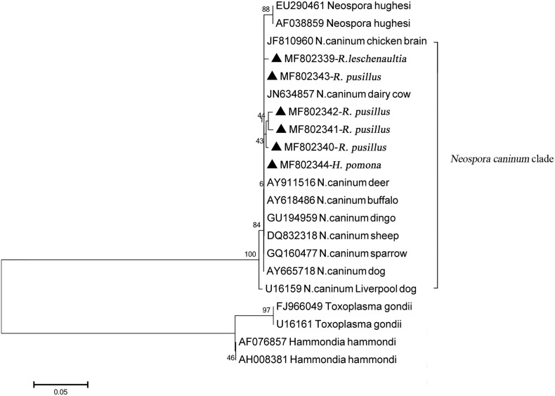 Supplementary Fig. 3