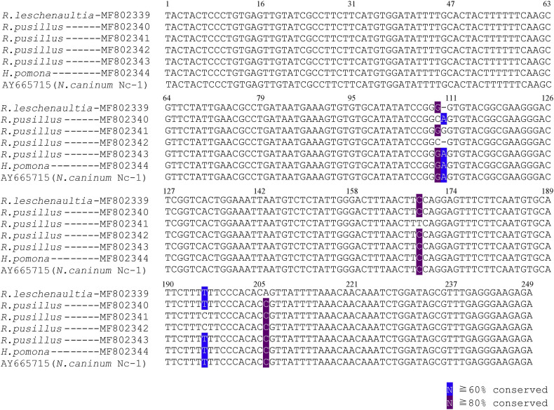 Supplementary Fig. 2