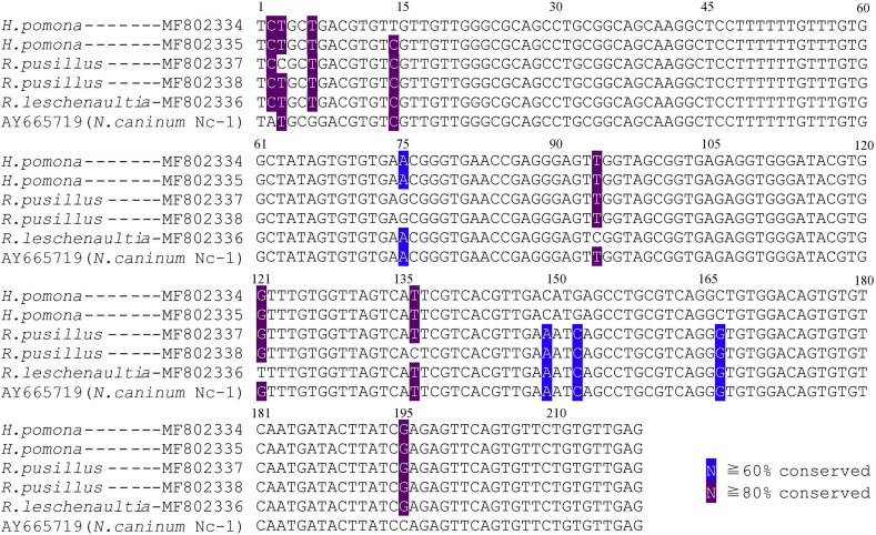 Supplementary Fig. 1