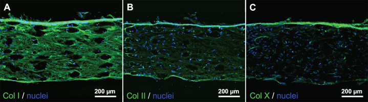 Figure 10.