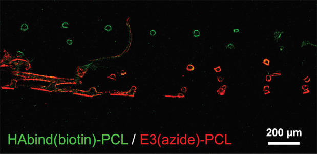 Figure 9.