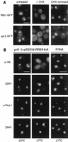 FIG. 7