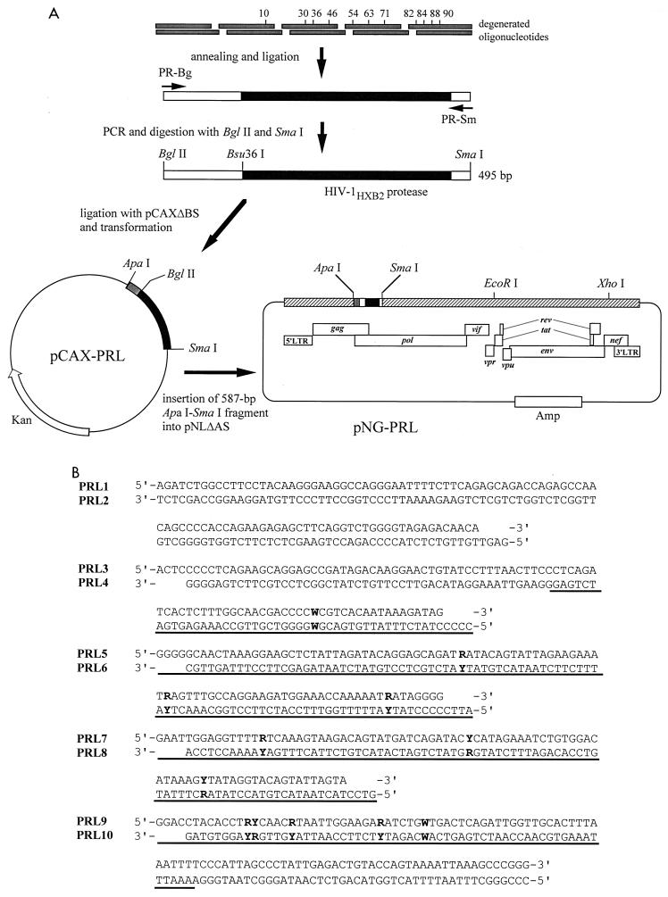 FIG. 1.