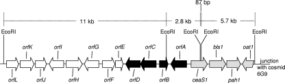 FIG. 2.