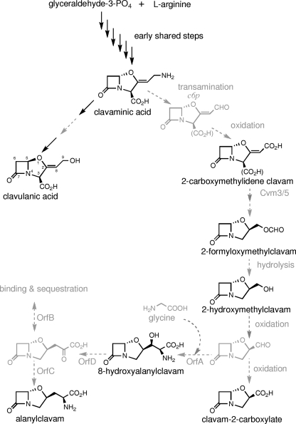 FIG. 1.