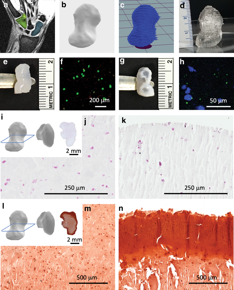 FIG. 7.