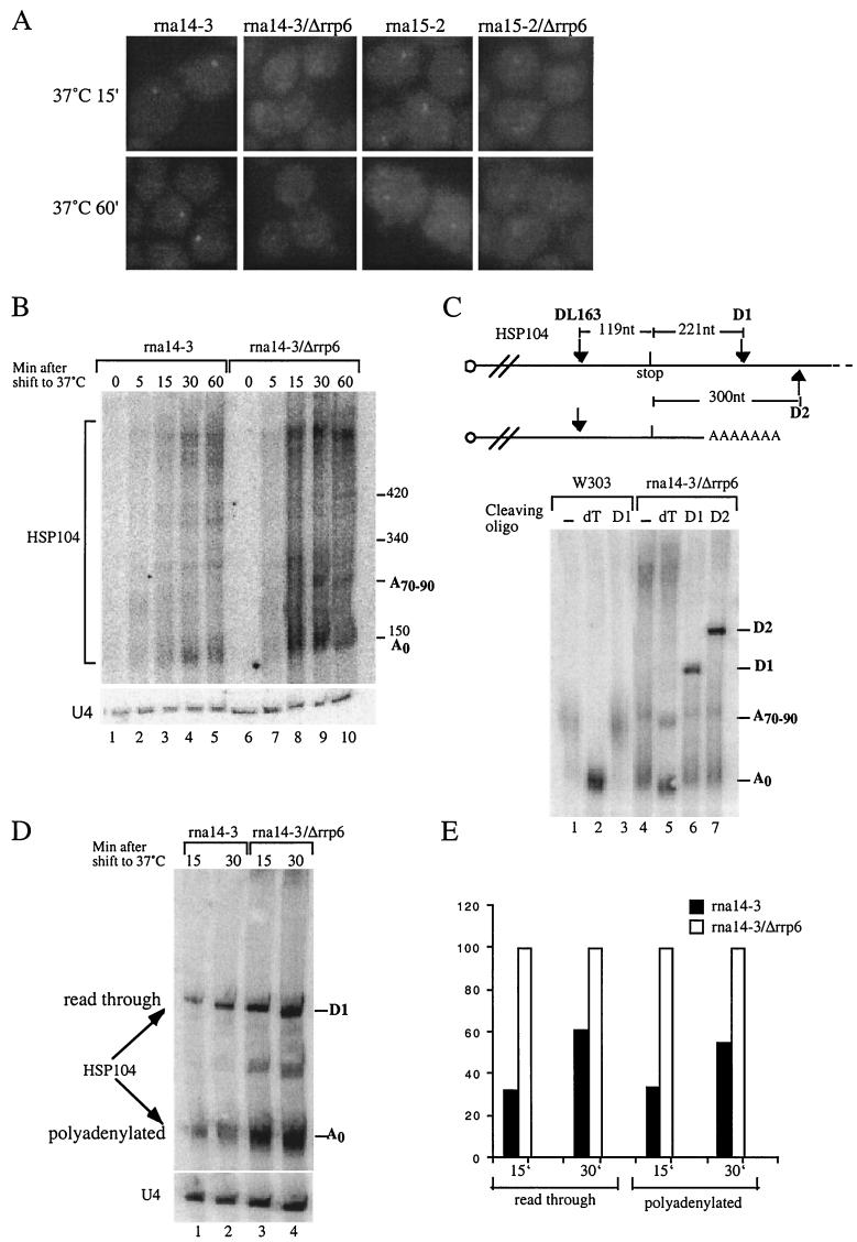 FIG.4.