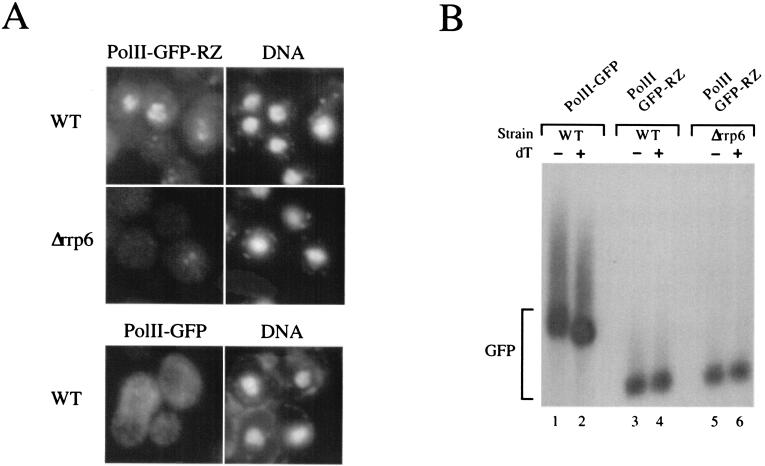 FIG. 5.