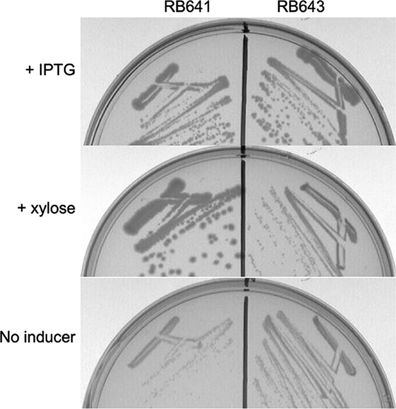 FIG. 3.