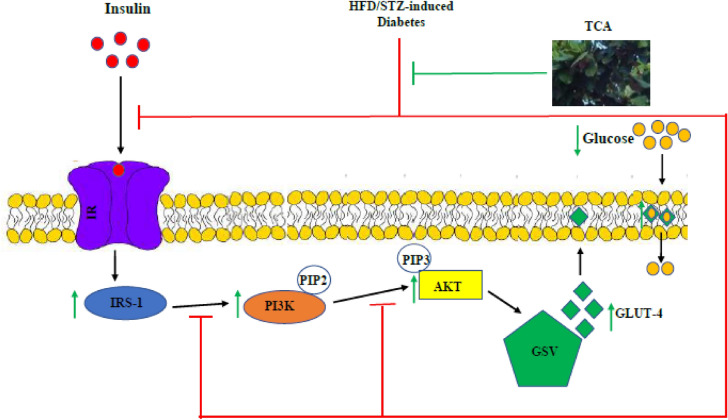 Figure 9