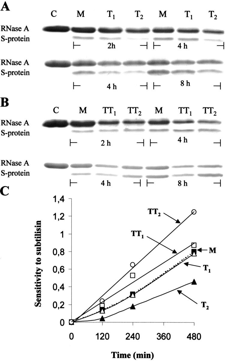 Fig. 10.