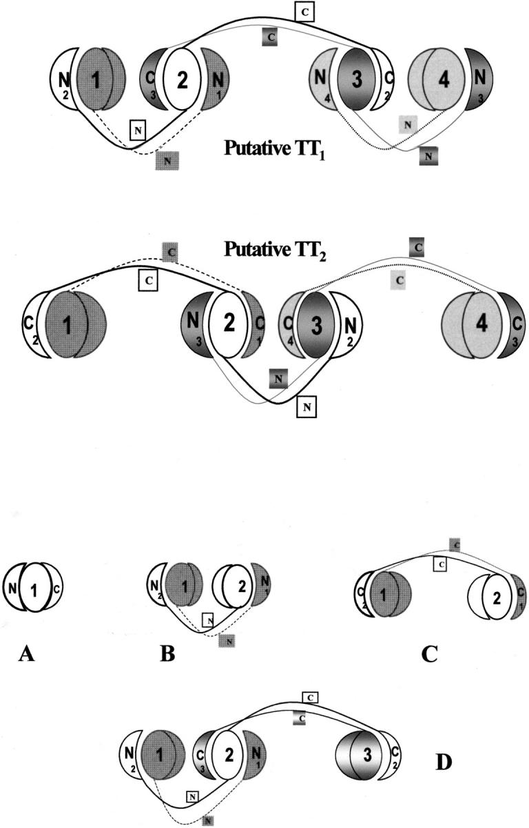 Fig. 8.