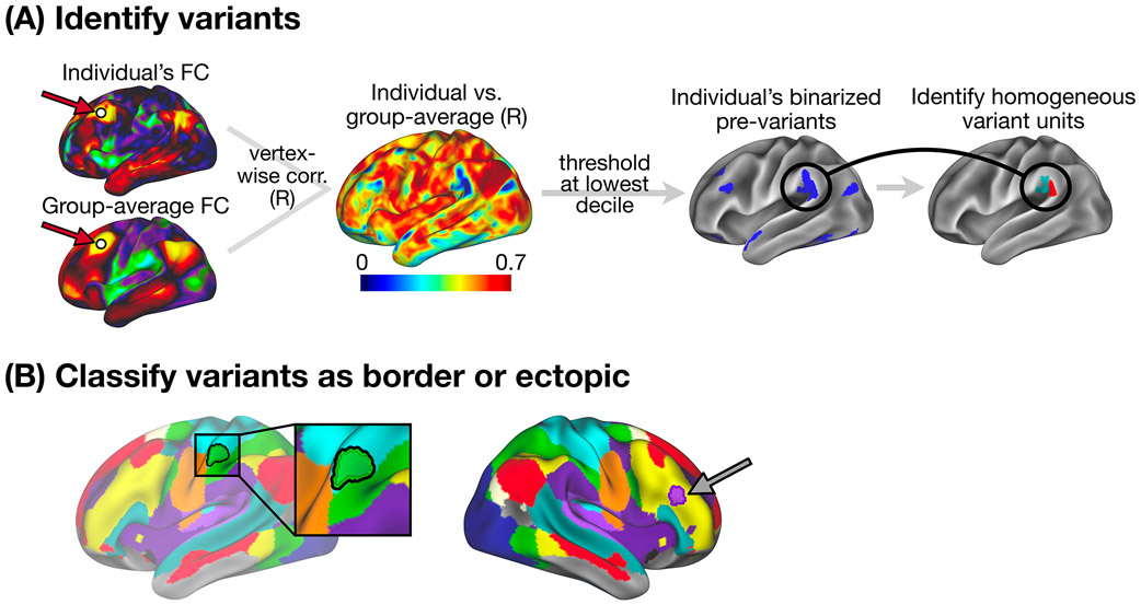 Figure 1: