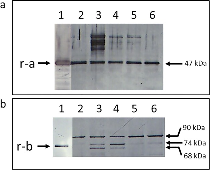 Fig 14