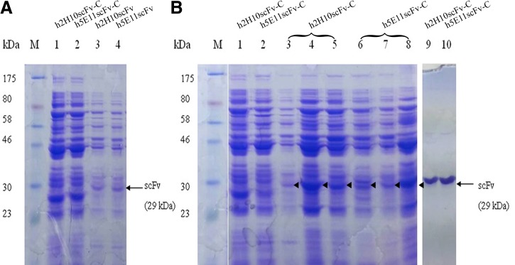 FIG. 4.