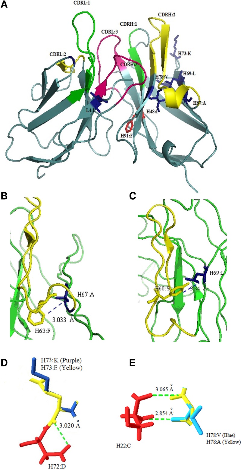 FIG. 3.