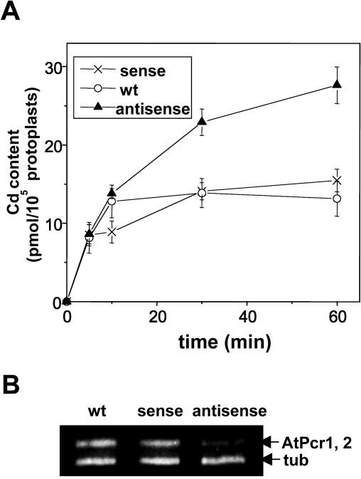 Figure 9.