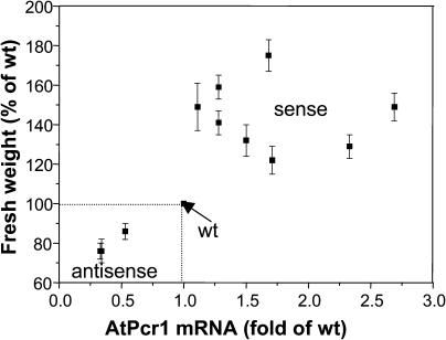 Figure 7.