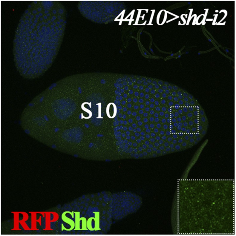 Fig. S1.