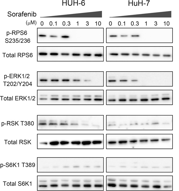 Figure 3A.