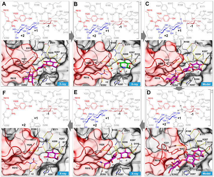 Figure 4.