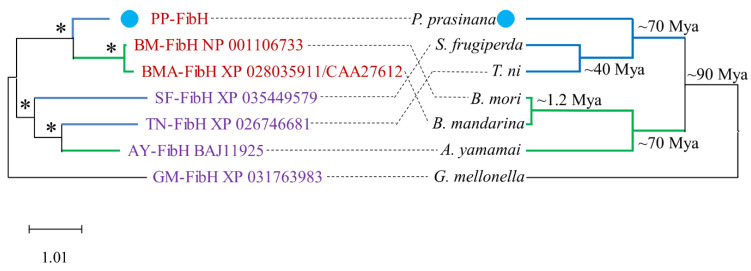 Figure 5