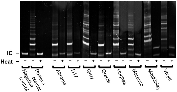 Figure 7