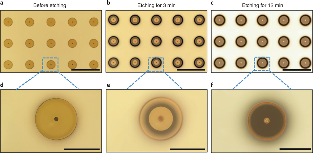 Fig. 8 |