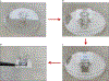 Fig. 10 |