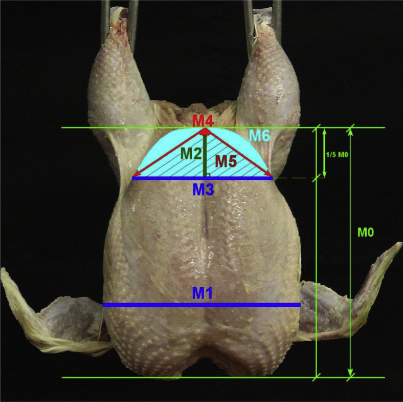 Figure 1