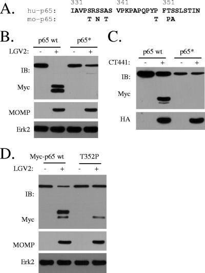 FIG. 5.