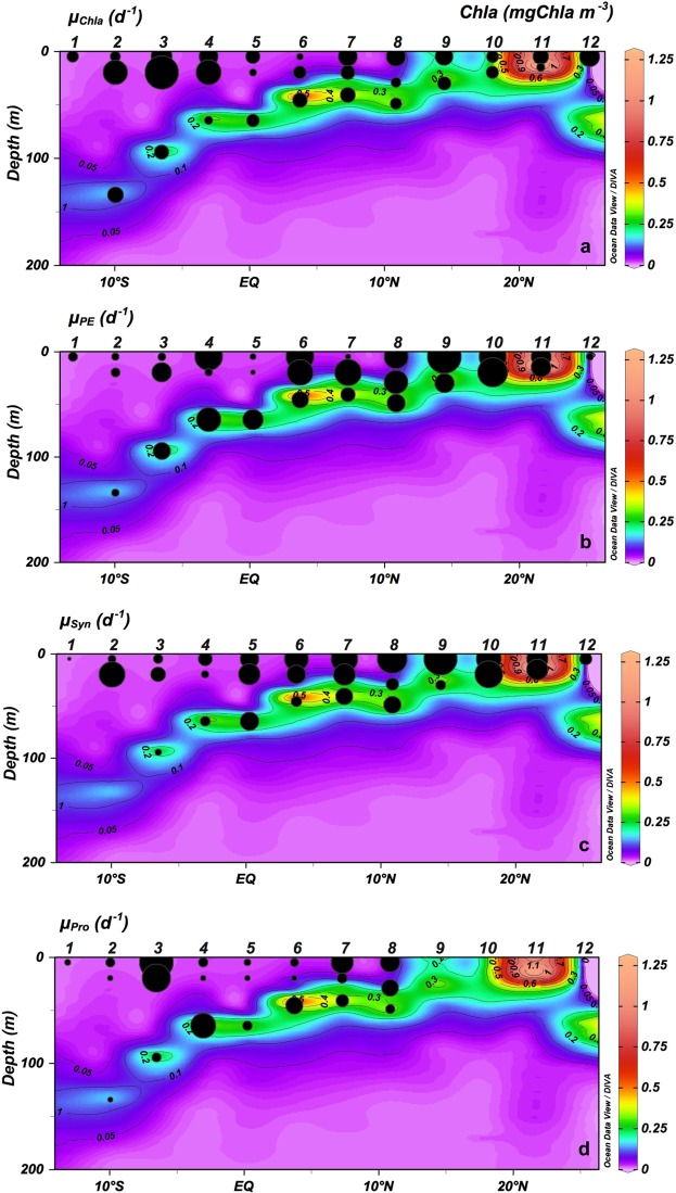 Figure 7