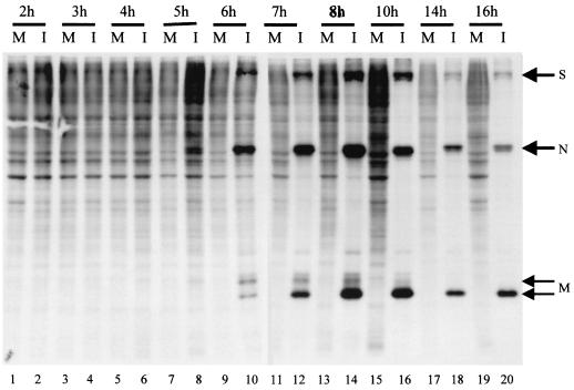 FIG. 3