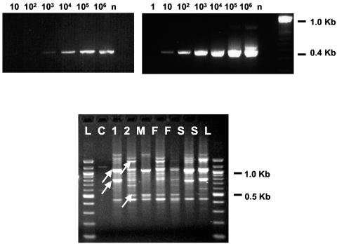 FIG. 1.