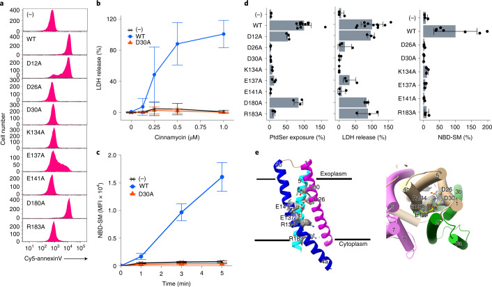 Fig. 4