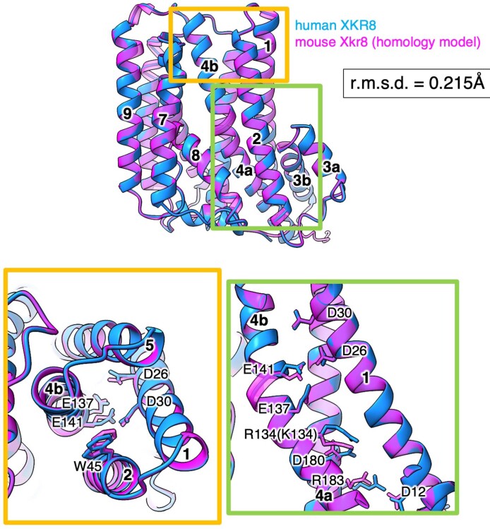 Extended Data Fig. 7