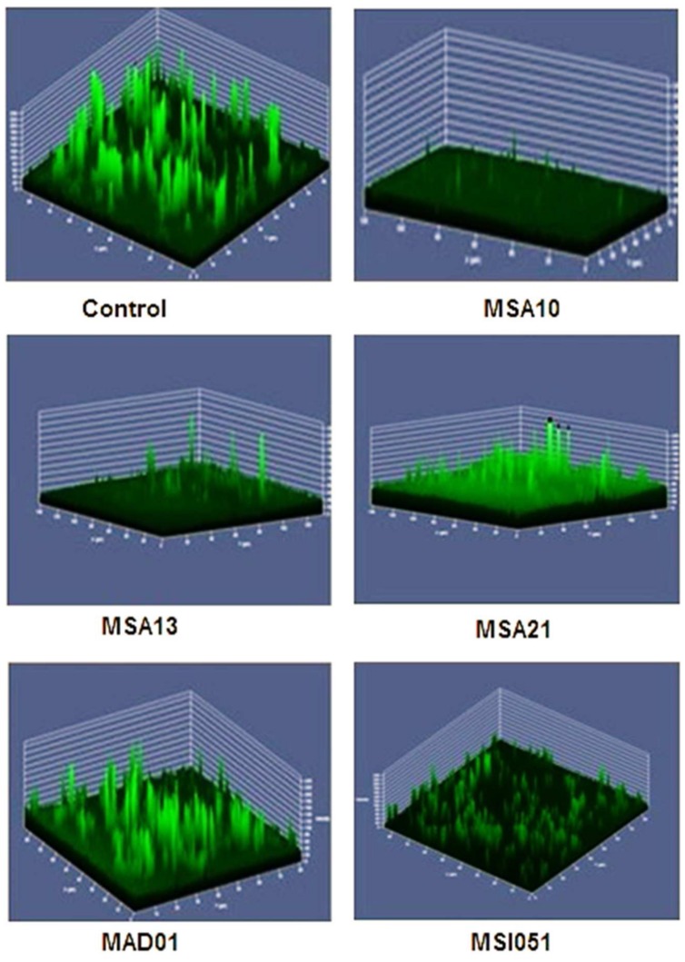 FIGURE 3