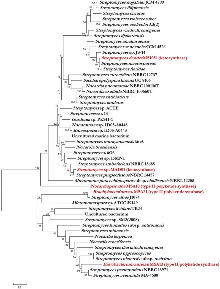 FIGURE 2