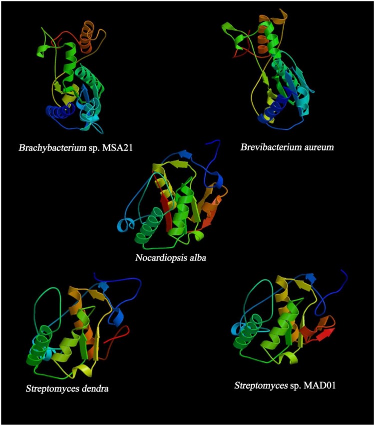 FIGURE 5