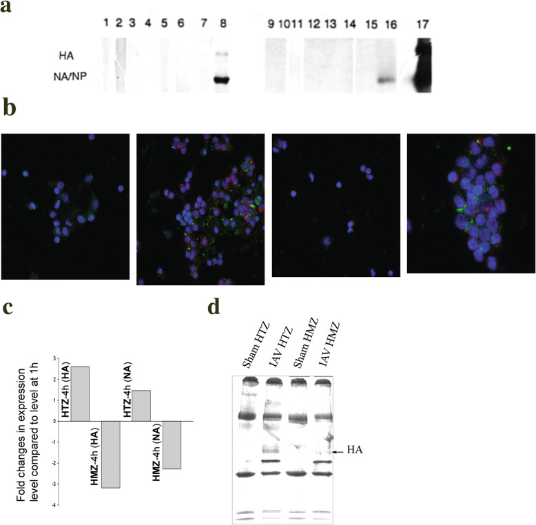 Fig. 6