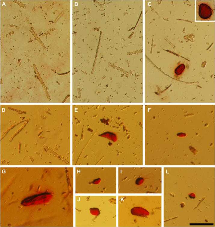 Figure 11