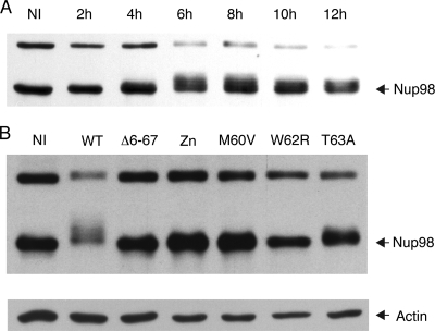 FIG. 6.