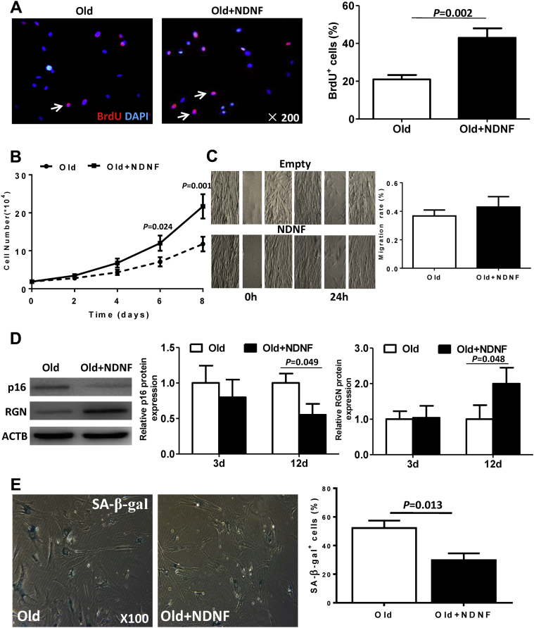 Figure 4