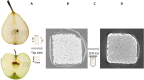 Fig. 11